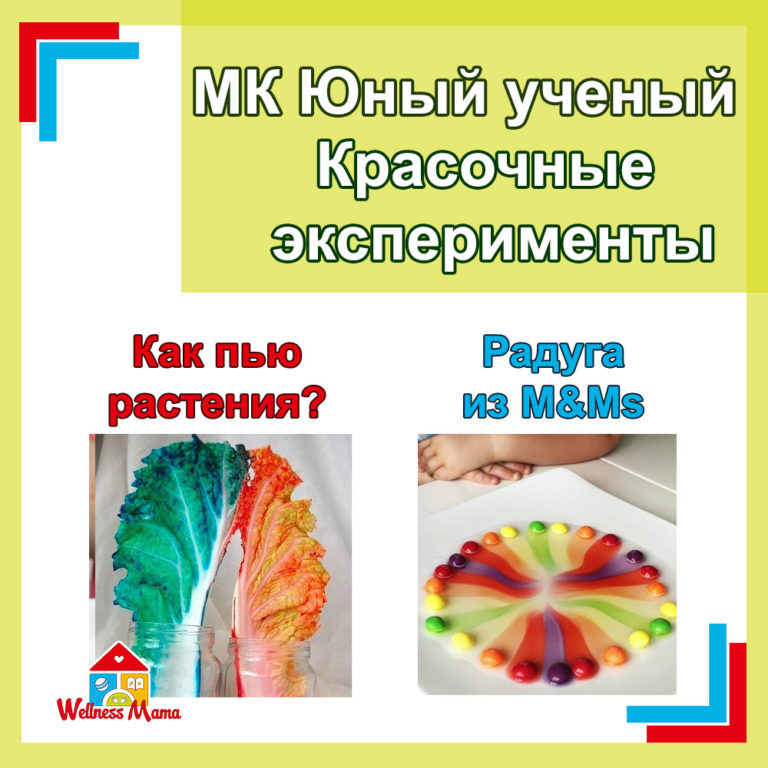 Read more about the article МК Юный ученый 21 августа